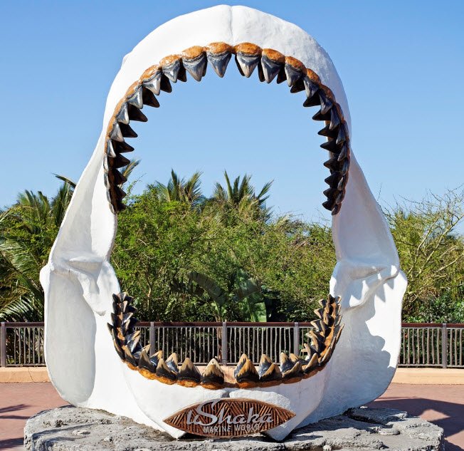 uShaka Marine World